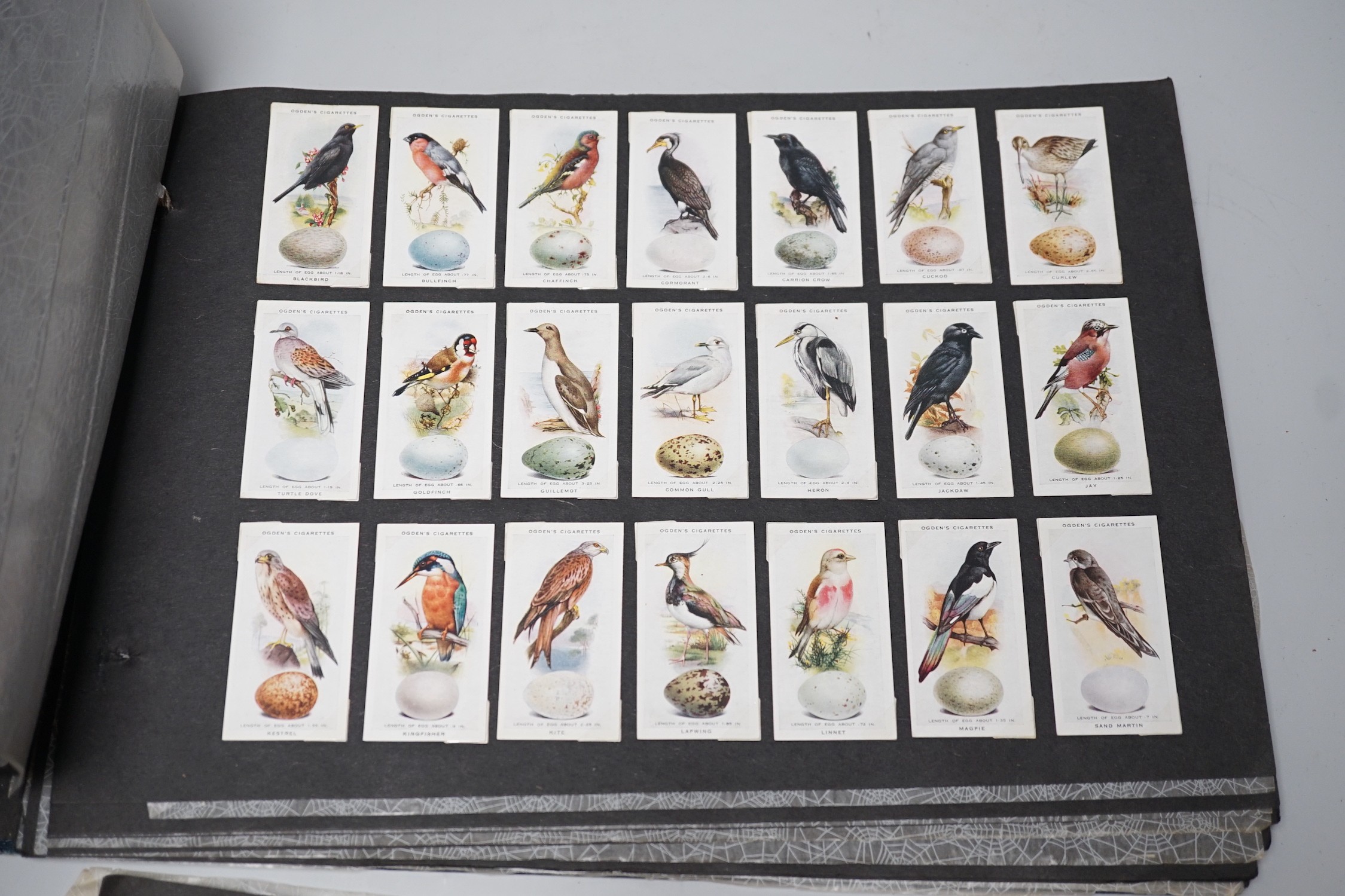 Cigarette and tea cards and loose stamps, including sets of British birds by Phillips, Ogdens and Carrolls